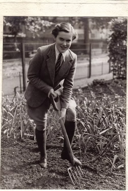 Model Allotment Hyde Park