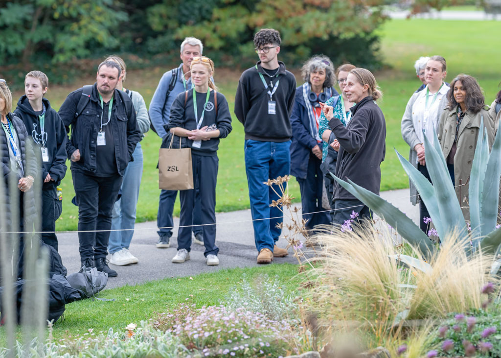 ZSL 2025 - Discovery Day Tour